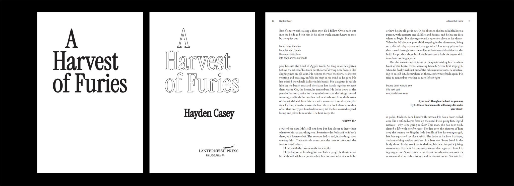 Lanternfish Press: A Harvest of Furies